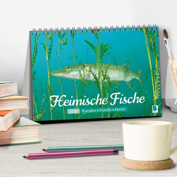 Produktbild: Heimische Fische: Karpfen, Forelle, Hecht (Tischkalender 2026 DIN A5 quer), CALVENDO Monatskalender