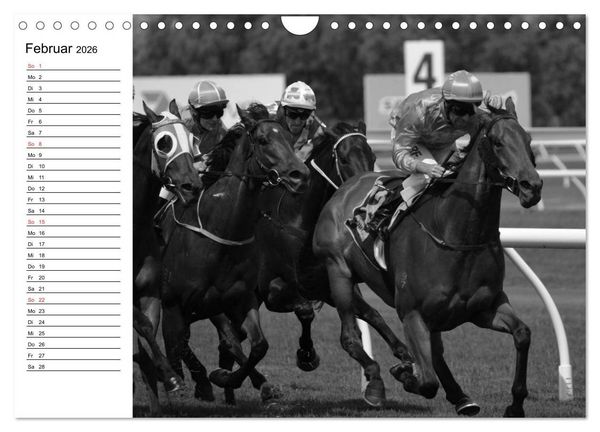 Produktbild: Leidenschaft Pferdesport - Impressionen (Wandkalender 2026 DIN A4 quer), CALVENDO Monatskalender