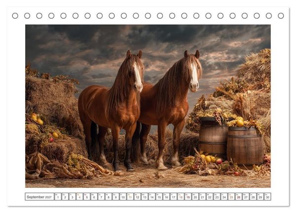 Produktbild: Pferde wie gemalt (Tischkalender 2027 DIN A5 quer), CALVENDO Monatskalender
