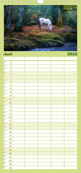 Produktbild: New Forest - England - Familienplaner hoch (Wandkalender 2022 , 21 cm x 45 cm, hoch)