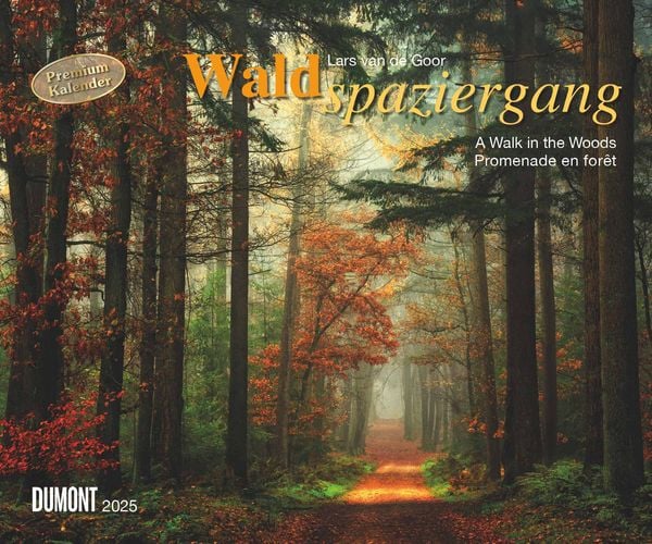 DUMONT - Waldspaziergang 2025 Wandkalender, 60x50cm, Fotokunst-Kalender mit beeindruckenden Fotografien aus dem Wald, im