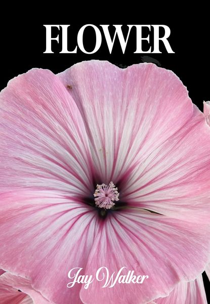Produktbild: Flower