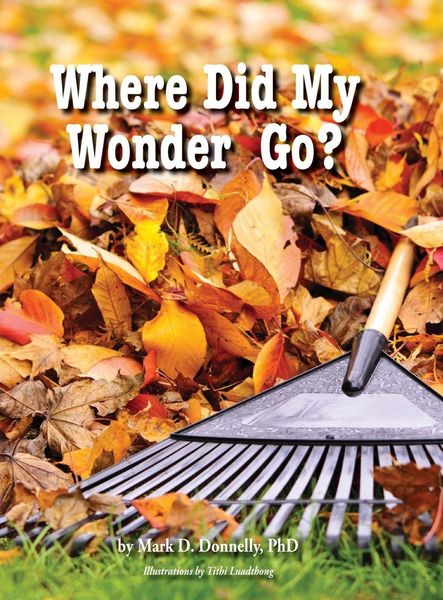 Produktbild: Where Did My Wonder Go?