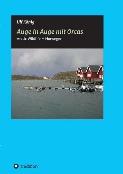 Auge in Auge mit Orcas, Taschenbuch von Ulf König, Tredition, 9783732345939