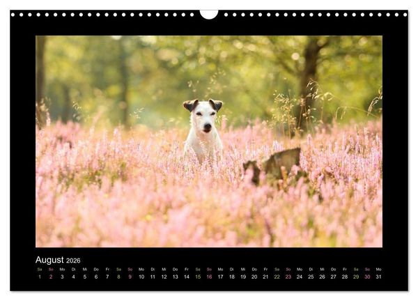 Produktbild: Die Parsons (Wandkalender 2026 DIN A3 quer), CALVENDO Monatskalender