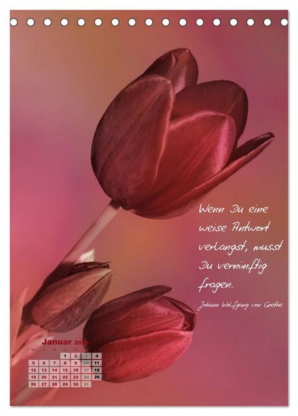 Produktbild: Blumen & Zitate (Tischkalender 2026 DIN A5 hoch), CALVENDO Monatskalender
