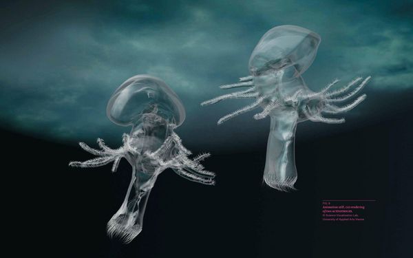 Produktbild: Plastic Ocean: Art and Science Responses to Marine Pollution