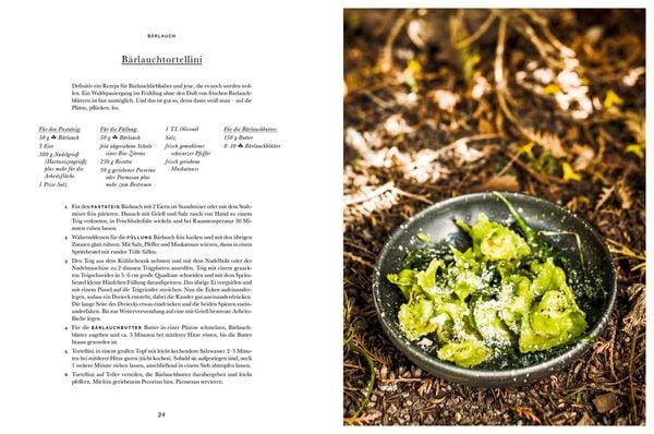 Produktbild: Das Wald-Kochbuch