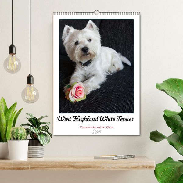 Produktbild: West Highland White Terrier - Herzensbrecher auf vier Pfoten (Wandkalender 2026 DIN A2 hoch), CALVENDO Monatskalender