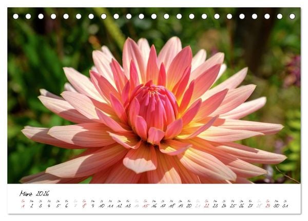 Produktbild: Madeira - ewiger Fr&uuml;hling (Tischkalender 2026 DIN A5 quer), CALVENDO Monatskalender