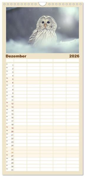 Produktbild: Familienplaner 2026 - Eulen - sch&ouml;n und geheimnisvoll mit 5 Spalten (Wandkalender, 21 x 45 cm) CALVENDO