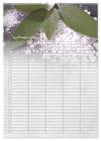 Produktbild: Familienplaner f&uuml;r die K&uuml;che. (hochwertiger Premium Wandkalender 2026 DIN A2 hoch), Kunstdruck in Hochglanz