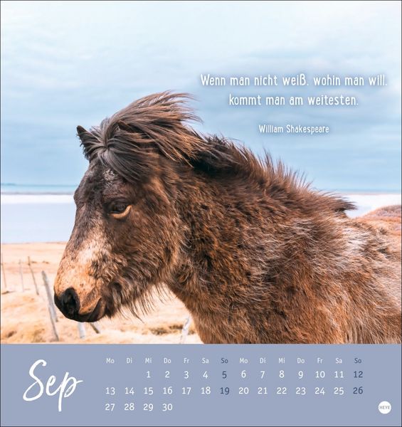 Produktbild: Never give up! Postkartenkalender 2027 - Durchhalten. Denn alles wird gut.