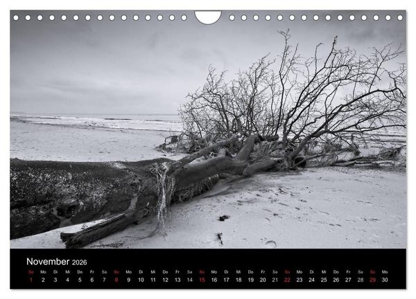 Produktbild: Strandspaziergang an der Ostsee (Wandkalender 2026 DIN A4 quer), CALVENDO Monatskalender