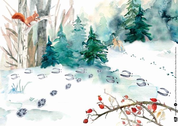 Produktbild: Tiere und Pflanzen im Wald. Kamishibai Bildkartenset