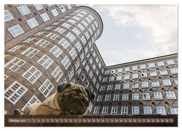 Produktbild: Hamburg - Stadt der M&ouml;pse (hochwertiger Premium Wandkalender 2026 DIN A2 quer), Kunstdruck in Hochglanz