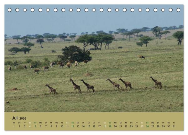 Produktbild: Safari Impressionen / Kenia (Tischkalender 2026 DIN A5 quer), CALVENDO Monatskalender