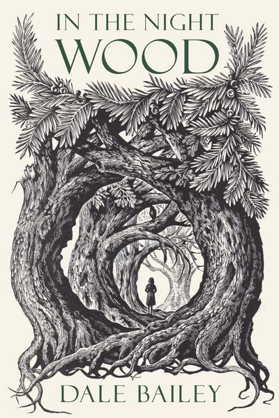 Produktbild: In the Night Wood