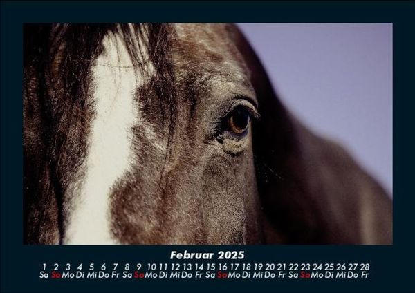 Produktbild: Pferdegefl&uuml;ster 2025 Fotokalender DIN A5