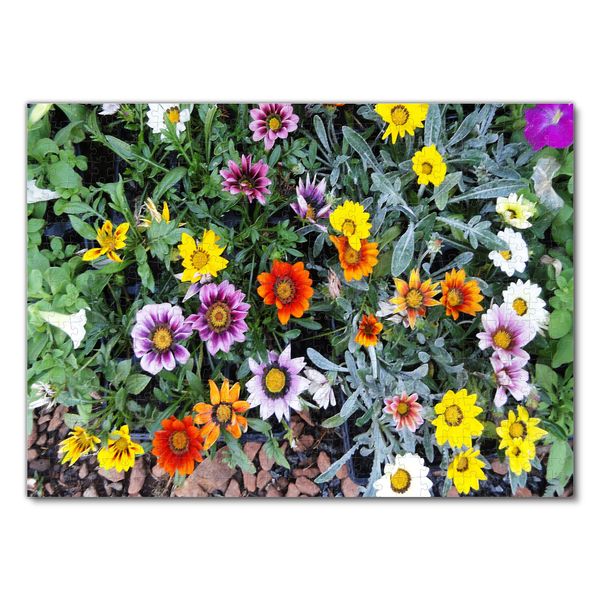 Produktbild: Lais Puzzle Blumen 500 Teile