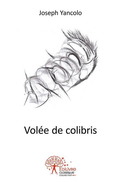 Produktbild: Volee de colibris