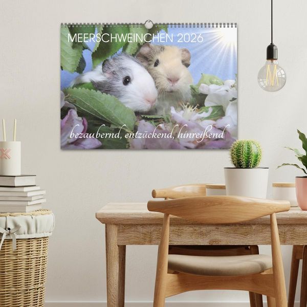 Produktbild: Meerschweinchen 2026 - bezaubernd, hinrei&szlig;end, entz&uuml;ckend (Wandkalender 2026 DIN A3 quer), CALVENDO Monatskalender
