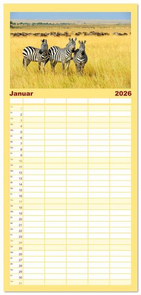 Produktbild: Familienplaner 2026 - Zebras - Die gestreiften Vierbeiner. mit 5 Spalten (Wandkalender, 21 x 45 cm) CALVENDO