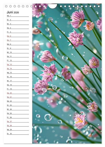Produktbild: Kr&auml;uterfrische (Wandkalender 2026 DIN A4 hoch), CALVENDO Monatskalender