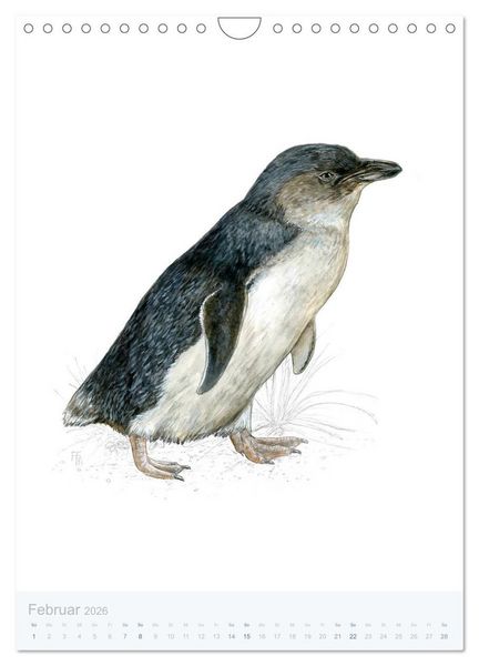 Produktbild: Pinguine - 13 Illustrationen (Wandkalender 2026 DIN A4 hoch), CALVENDO Monatskalender