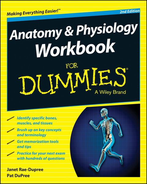 Produktbild: Anatomy and Physiology Workbook For Dummies