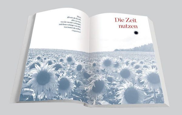 Produktbild: Dir neu begegnen