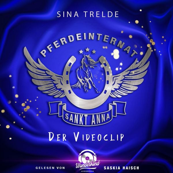 Produktbild: Der Videoclip