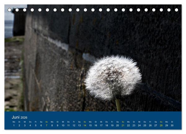 Produktbild: Die Nordmole in Wilhelmshaven. Historisches Relikt und Lieblingsort. (Tischkalender 2026 DIN A5 quer), CALVENDO Monatskalender