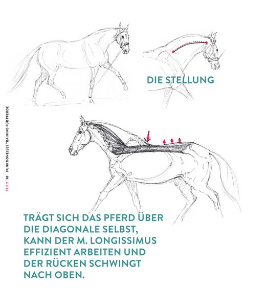 Produktbild: Die Kraft der Diagonalen