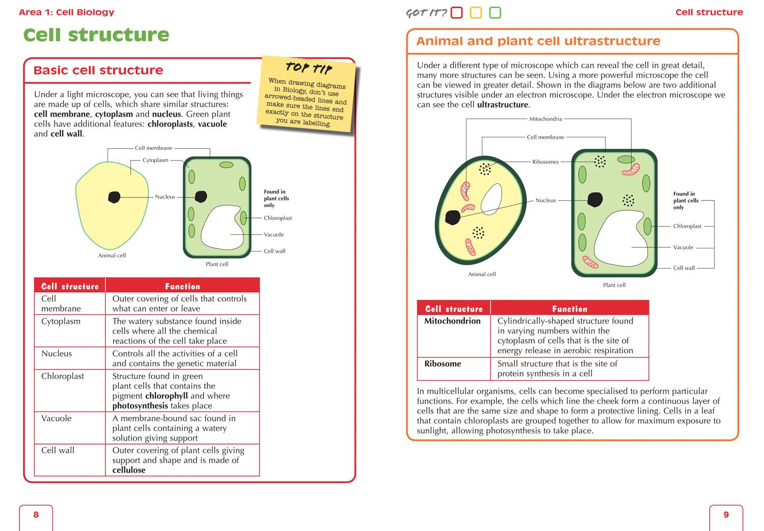 Produktbild: N5 BIOLOGY LECKIE COMPLETE R&P