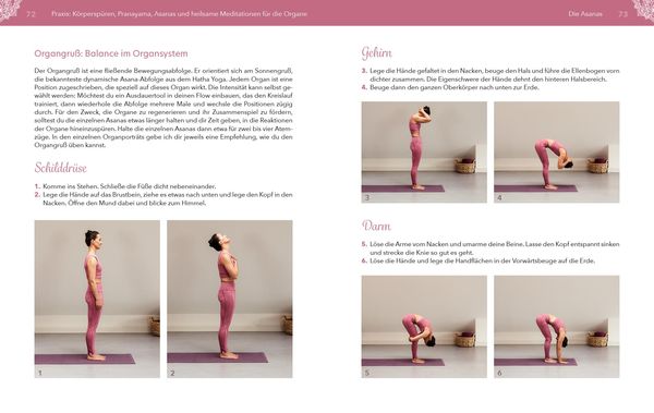 Produktbild: Yoga f&uuml;r die Organe