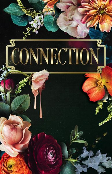 Produktbild: Connection (The Submission Series, #3)