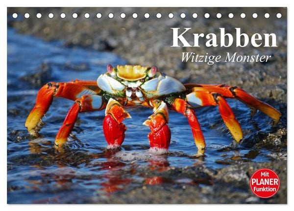 Produktbild: Krabben. Witzige Monster (Tischkalender 2026 DIN A5 quer), CALVENDO Monatskalender