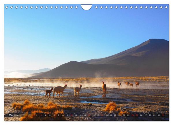 Produktbild: Peru und Bolivien - Traumlandschaften (Wandkalender 2026 DIN A4 quer), CALVENDO Monatskalender
