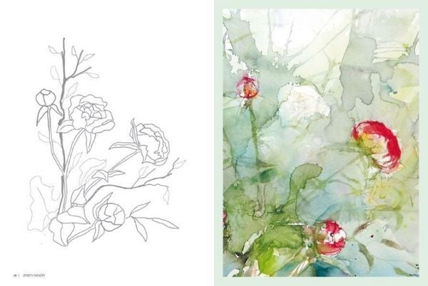 Produktbild: Linien malen &ndash; Zauberhafte Blumenpracht