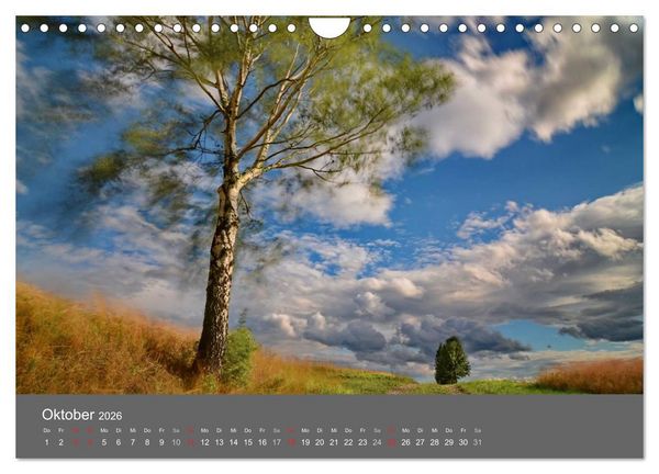 Produktbild: B&auml;ume (Wandkalender 2026 DIN A4 quer), CALVENDO Monatskalender