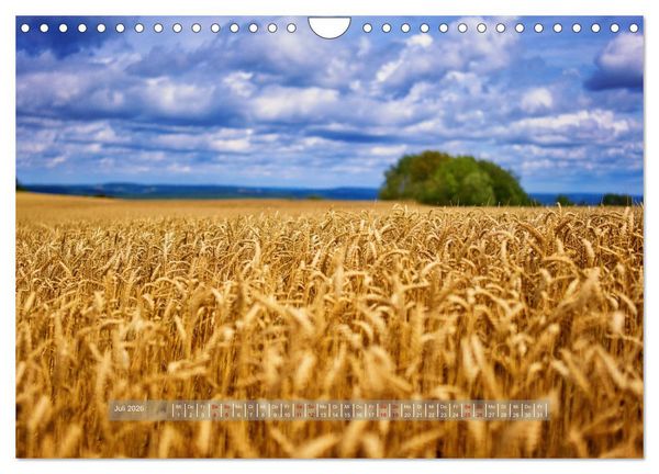 Produktbild: Th&uuml;ringer Traumlandschaften (Wandkalender 2026 DIN A4 quer), CALVENDO Monatskalender