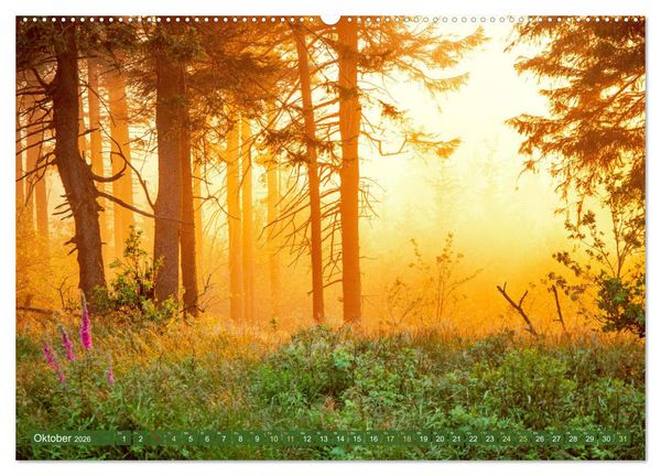 Produktbild: Farben und Muster der Erde (hochwertiger Premium Wandkalender 2026 DIN A2 quer), Kunstdruck in Hochglanz