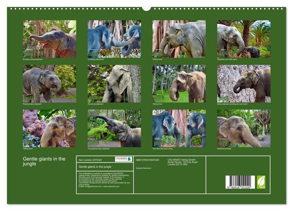 Produktbild: Gentle giants in the jungle (High Quality Premium Wall Calendar 2026 DIN A2 landscape),CALVENDO 12 Month Wall Calendar