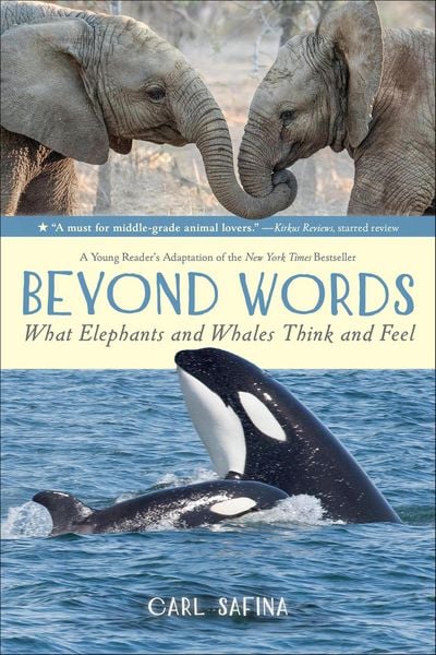 Produktbild: Beyond Words: What Elephants and Whales Think and Feel