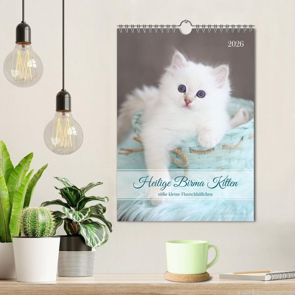 Produktbild: Heilige Birma Kitten - s&uuml;&szlig;e kleine Flauschb&auml;llchen (Wandkalender 2026 DIN A4 hoch), CALVENDO Monatskalender