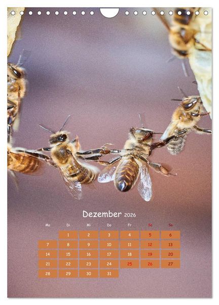 Produktbild: Gesch&auml;ftig wie im Bienenstock (Wandkalender 2026 DIN A4 hoch), CALVENDO Monatskalender