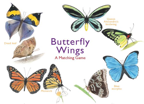 Produktbild: Butterfly Wings