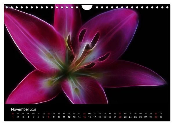 Produktbild: Floral Abstrakt 2026 (Wandkalender 2026 DIN A4 quer), CALVENDO Monatskalender