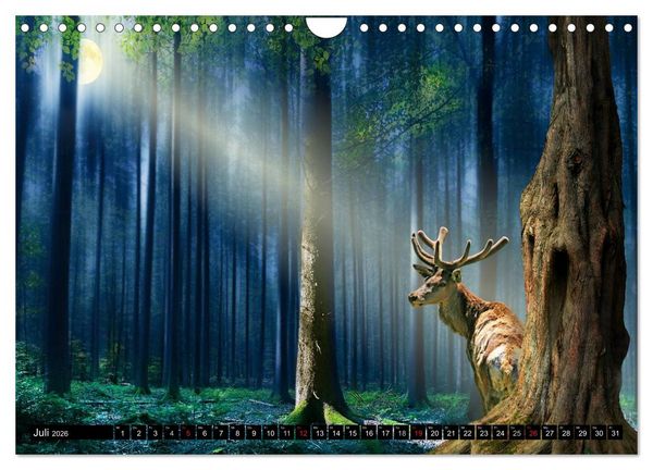Produktbild: Mystische Vollmondn&auml;chte (Wandkalender 2026 DIN A4 quer), CALVENDO Monatskalender